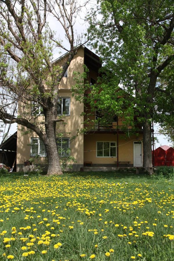 Hotel Дом Жени И Люды Zhabagly Esterno foto